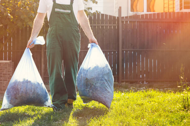 Best Yard Cleanup Services  in Babbitt, MN