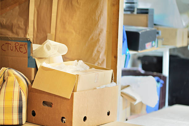 Best Professional Junk Removal  in Babbitt, MN